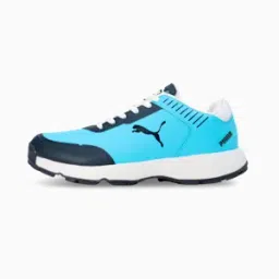 Cricket Scorer Men's Shoes