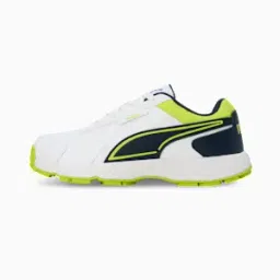Cricket Strike Men's Shoes