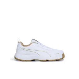 Puma Men's White Cricket Shoes