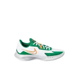 Nike Men's Multicolor Basketball Shoes