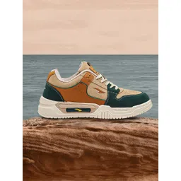 ASIAN Men Colourblocked Sneakers