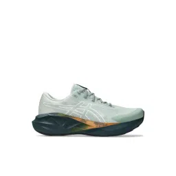 Asics Men's NOVABLAST 5 TR Nature Bathing & Lichen Rock Running Shoes