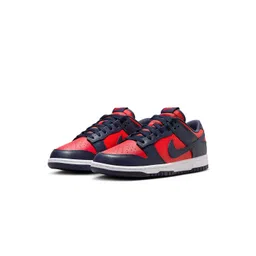Nike Dunk Low Retro Men's Shoes