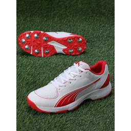 Puma Unisex PUMA Spike 24.2 Cricket Shoes