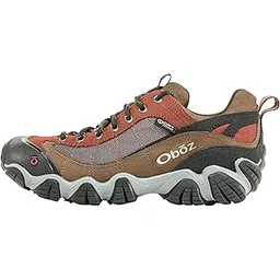 Men's Bridger BDry Hiking Boot