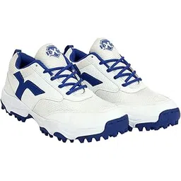 Cricket Shoes for Men