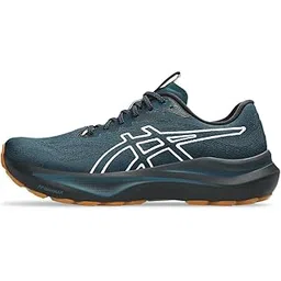 Men Sports Shoes