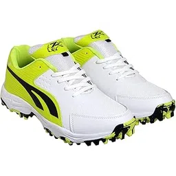 Hub_D W/Yellow Cricket