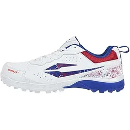 DSC Zooter XT Cricket Shoes for Mens