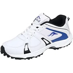Cricket Shoes, Striker Cricket Shoes for Men, Cricket Sports Shoe