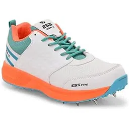 ESS Spikes Pro S24 Cricket Shoes