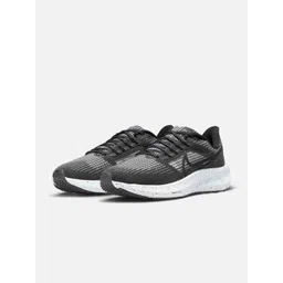 Nike Pegasus 39 Women Road Running Shoes