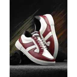 CLOG LONDON Men Colourblocked Sneakers