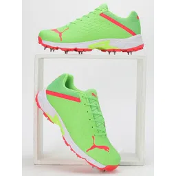 Puma Unisex Spike 22.2 Cricket Shoes