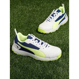 Puma Men High Run Cricket Sports Shoes
