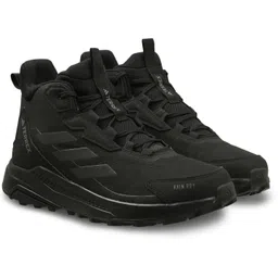 TERREX ANYLANDER MID R.RDY Running Shoes For Men